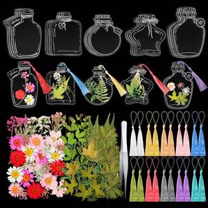 lot 6111 image: TaoBary 161 Pcs DIY Transparent Dried Flower Bookmark Set Include Clear Bookmarks Dried Flowers Colorful Tassels and Tweezer Handmade Dried Floral Bookmark for Reader Book Bottle(Delicate)