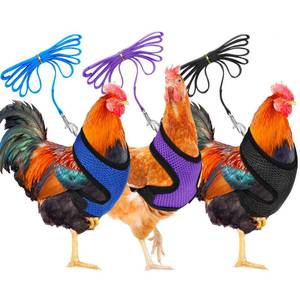 lot 6120 image: BOAO 3 Pieces Adjustable Chicken Harness with Leash and Matching Belt, Comfortable Hen Vest Breathable Chicken Training Harness for Duck or Goose, Pet (Blue, Black, Purple,S)