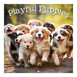 lot 8029 image: TURNER PHOTOGRAPHIC Playful Puppies Photo Mini Wall Calendar (26998950017)