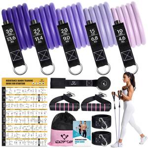 lot 13639 image: Resistance Bands with Handles for Women, 5 Level Exercise Bands Workout Bands for Physical Therapy, Yoga, Pilates, Door Anchor, Storage Pouch(Purple)