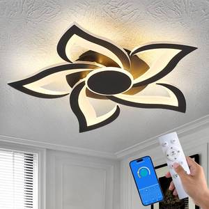 lot 13647 image: HuixuTe 24 Modern Geometric Ceiling Light Fixture, Black Dimmable 3 Colors LED Close to Ceiling Light Fixtures with Remote, Low Profile Flush Mount Ceiling Light for Kitchen, Living Room