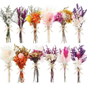 lot 6314 image: WGXX 101224 Pack Dried Flowers for Vase Various Mini Bouquet Dried Small Wildflowers Natural Real Flowers Bulk for Crafts DIY Wedding Decor (12, Flowers Blooming1)