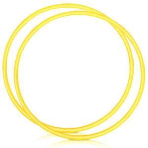 lot 8078 image: WinnerWhy 2 Pcs Toy Hoop Exercise Hoop Detachable Adjustable Plastic Toy Ring Playground Equipment for School Colored Circles Exercise Ring for Teens Dog Agility Equipment(Yellow,26 Inch)