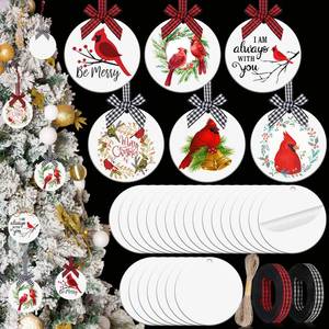 lot 10097 image: Bucherry 24 Pcs White Acrylic Christmas Ornaments - 3 Inch Round Clear Blank Heart Sublimation Ornaments with Hole for DIY Craft Xmas Bauble Tree Decor