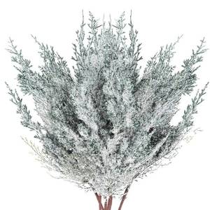 lot 16214 image: 6 Pieces Frosted Artificial Cedar Pine Branches Sprigs 17 Snowy Faux Cedar Twig White Winter Greenery Stems Pine Picks Cedar Spray for Christmas Tree Craft Wreaths Garlands Holiday Season Decor (6)in