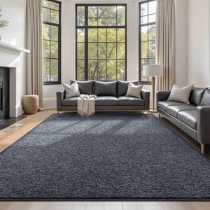 lot 3267 image: FinRec 6x9 Washable Area Rugs for Bedroom Living Room, Low Pile Thin Rug Solid Color, Non-Slip Carpet Indoor for Home Decor (Grey)
