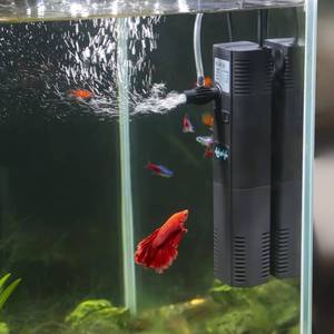 lot 4334 image: TARARIUM Small Fish Tank Filter for 10-20 Gallon Tank, U-V Aquarium Rainfall Submersible Green Clean Machine 120GPH Internal Betta Turtle Freshwater Saltwater Crystal Clear Killing