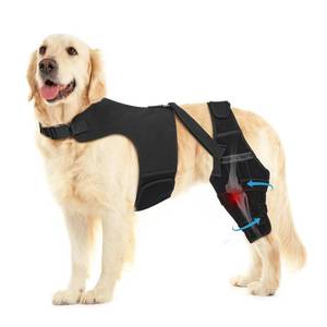 lot 5029 image: Pawfun Dog Knee Brace for Torn ACL Hind Leg, Adjustable Dog Leg Braces for Back Leg with 4 Metal Stabilizers Helps with Torn CCL, Luxating Patella, Ligament Injuries, Hip Dysplasia XL