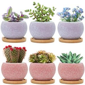 lot 9306 image: Thriving Thicket 3 inch Ceramic pots for Plants, Small Succulent Pots Set with Drainage, 6 Pack Flower Pot for Indoor Plant, Planters for Little or mini Cactus 2 inches Plants (PinkPurple)