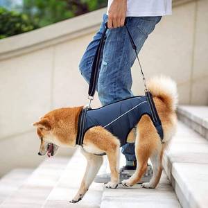 lot 10347 image: Dog Lift Harness Full Body Support and Recovery Sling Dog Lifter Vest Harness for Old, Joint Injuries, Arthritis, Disabled Dogs Walk (Large, Navy)