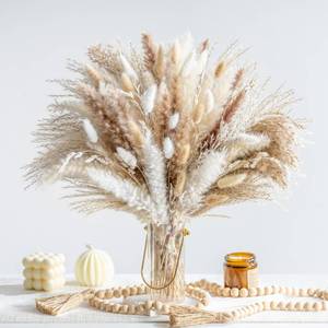lot 15860 image: 130PCS Natural Dried Pampas Grass Boho Home Decor Bouquet Phragmites Dried Flowers Bouquet for Wedding Floral Arrangements Home Decorations (130PCS)