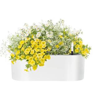 lot 7862 image: SAROSORA 16 Oval Self Watering Planter with Water Level Indicators for Plants & Flower Home Garden Outdoor Indoor Succulent  Herb pots  Window Box (1, Oval, White)