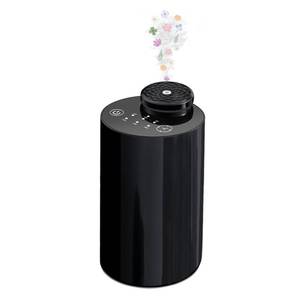 lot 4265 image: Waterless Essential Oil Diffuser with 20ml Capacity, Cordless Diffusers with 3 Mist Levels & Timers for Home Car Office