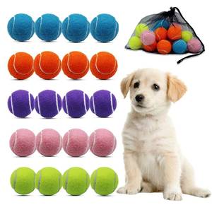 lot 8058 image: Swingers Small Tennis Balls��20 Pack 2 inch Training Tennis Balls,Exercise Ball for Pet Dog with Mesh Carry Bag Easy to Transport (Multicolor)