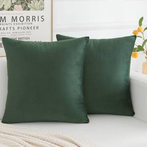 lot 19605 image: HERAYLI Velvet Decorative Throw Pillow Covers, Soft Square Cushion Case Home Decor for Living Room Couch Bed Sofa, Set of 2 Pack, Dark Green, 20x20 Inch