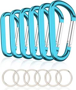 lot 20441 image: 6PCS Carabiner Caribeaner Clip,3 Inch Large Aluminum D Ring Shape Carabeaner with 6PCS Keyring Keychain Hook (missing one)