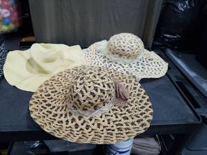 lot 3423 image: Wide Brim Straw Sun Hats Collection
