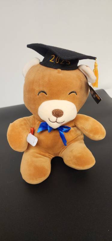lot 67266 image: 2025 Graduation Bear Plush with Cap and Diploma - Retail $10