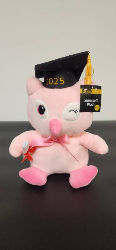 lot 67268 image: 2025 Graduation Pink Owl Plush - Retail $10