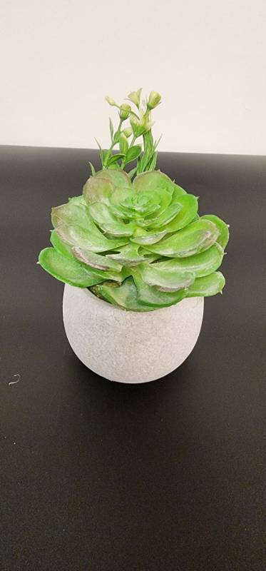 lot 67279 image: Artificial Succulent in White Ceramic Pot - Retail $12