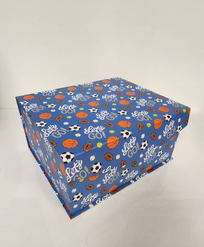 lot 67459 image: Sports Theme Nesting Storage Box M- Retail $15