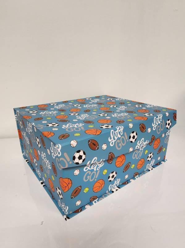 lot 67460 image: Sports Theme Nesting Storage Box L- Retail $20