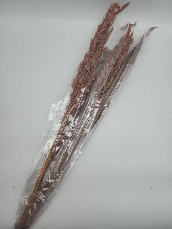 lot 69043 image: Rooms Bloom Dried Pampas Grass Bundle - Retail $15