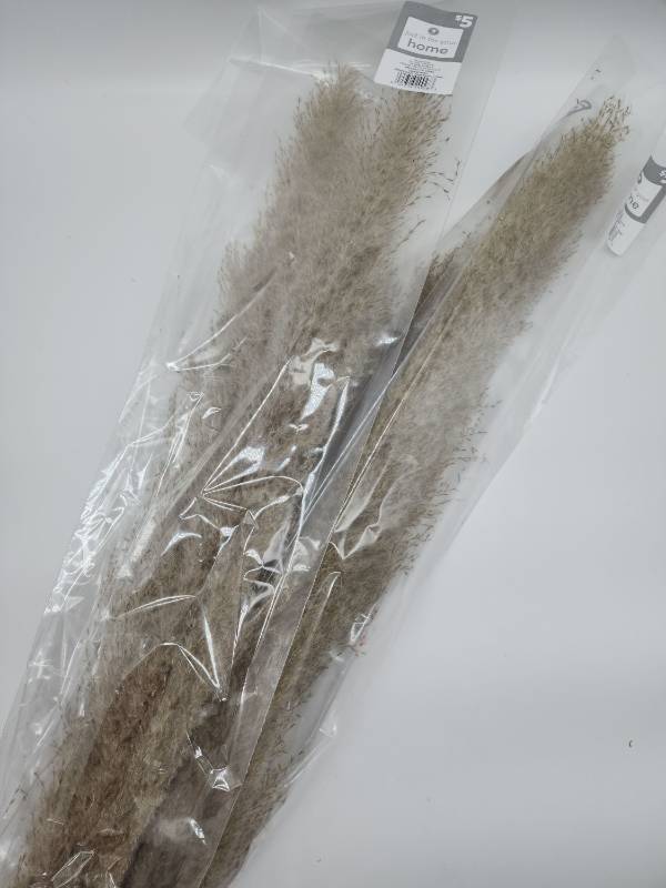 lot 69046 image: Natural Dried Pampas Grass Bundle - Retail $12