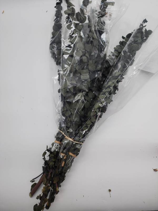 lot 69067 image: Preserved Eucalyptus Branches Bundle - Retail $12
