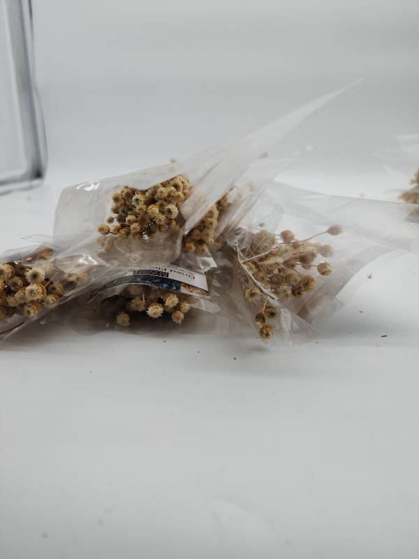 lot 69123 image: Natural Dried Star Flowers Bundle - Retail $12