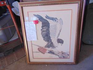 lot 2418 image: Framed Print - Hawk - By Gene Gray - Signed and Numbered