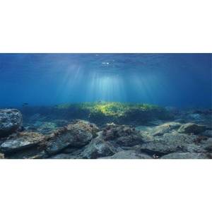 lot 389 image: AWERT Ocean Floor Fish Tank Background Underwater Stone Aquarium Background 24x12 inches Vinyl - Retail $7