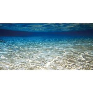 lot 402 image: AWERT 24x12 inches Ocean Floor Aquarium Background Underwater Fish Tank Background Undersea Theme Aquarium Background - Retail $8