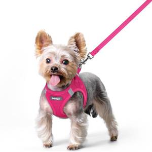 lot 61746 image: Dog Harness Small Sized and Leash Set, Step in Soft Light Puppy Vest, Breathable Mesh Pet Harness, Reflective for Safe Easy Walking, Rose Red XS - Retail $15
