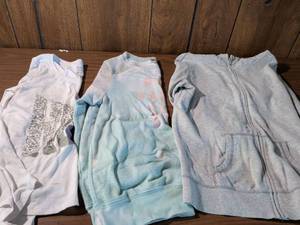 lot 113 image: Wildfox and Nike Athletic Shirt Bundle