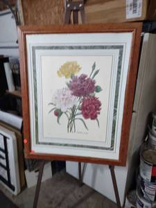 lot 3931 image: Framed Carnation Botanical Print