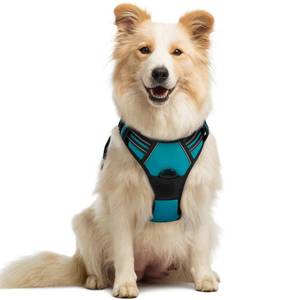 lot 3312 image: rabbitgoo Dog Harness No Pull with 2 Leash Clips, Adjustable Soft Padded, Reflective Oxford No Choke Pet Vest with Easy Control Handle for Medium Sized Dogs, Teal, M