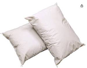 lot 67433 image: APPEARS NEW - Nylon Reinforced Vinyl PIllows (19x25) Set of 2
