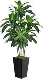 lot 24 image: $62 6FT Artificial Dracaena Tree in Black Planter for Indoor Decor