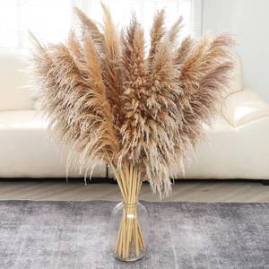 lot 231 image: 40 Natural Pampas Grass Decor 12 pcs Tall, Boho Dried Grass