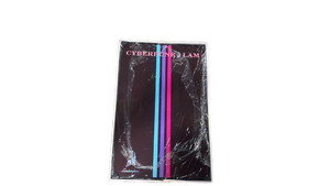 lot 2992 image: Cyberpunk Lam Framed Piece 14x21 - Retail $25