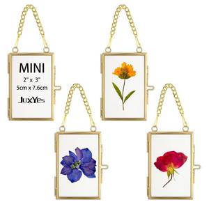 lot 24356 image: JUXYES Set of 4 Mini Wall Hanging Brass Frames for Pressed Flowers, Double Glass Hanging Picture Artwork Display Frame, Vertical Gold Floater Style Gallery Wall Frame for Photo Picture Poster etc, 3x2 Inches - Retail $20