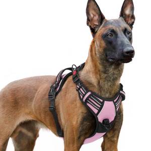lot 29825 image: rabbitgoo Dog Harness for Large, No Pull Pet Harness with 3 Buckles, Adjustable Soft Padded Vest with Control Handle, Walking Reflective Pet Vest for Extra Large Dogs, Pink, XL - Retail $25