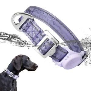 lot 1247 image: PAWTICO AirTag Dog Collar, Reflective Nylon, Metal Buckle, IP68, Dog Collar with AirTag Holder, Heavy Duty Dog Collars for Large Medium Small Dogs (Lavender Purple, M��Width 1,Neck 13.4-18.9) - Retail $10