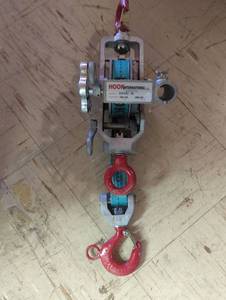 lot 16750 image: Hook International brand EH153-10 Heavy Duty Hoist