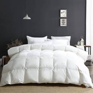 lot 1877 image: APSMILE King Size Luxury 100% Organic Cotton All Season Down Feather Fibers Comforter, Extra Fluffy Medium Warmth Duvet Insert(106x90, Ivory White)