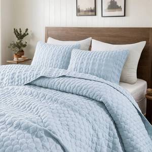 lot 2381 image: WDCOZY Light Blue Oversized California Cal King Size Quilt Bedding Set with 2 Pillow Shams, Lightweight Soft Bedspread Coverlet Bed Cover for All Season, 3 Pieces, 118x106 inches