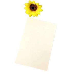 lot 2935 image: 50pcs 5x7 250 GSM Ivory Pearl Paper Blank Inner Sheets Printable Invitation Invite for Wedding Birthday