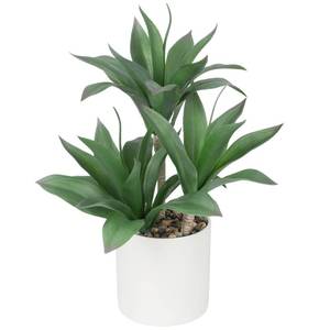lot 3159 image: Hollyone Large Artificial Agave Plants Fake Three-Head Agave Succulent Plant Potted 15 Faux Plant in White Pot Succulents Aloe Plant Indoor for Desk Modern Home Decor
