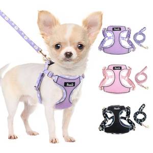 lot 3841 image: Lukovee No Pull Puppy Harness and Leash Set - Soft Lightweight Escape Proof Puppy Vest Harness, Breathable Adjustable Pet Harness with Dog Leash for Small Dogs (Purple, XXS)